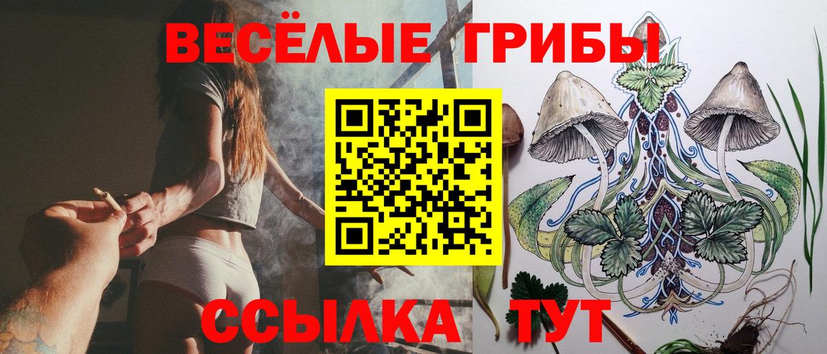 Псилоцибиновые грибы Psilocybine cubensis  Вход с VPN  Мелеуз 